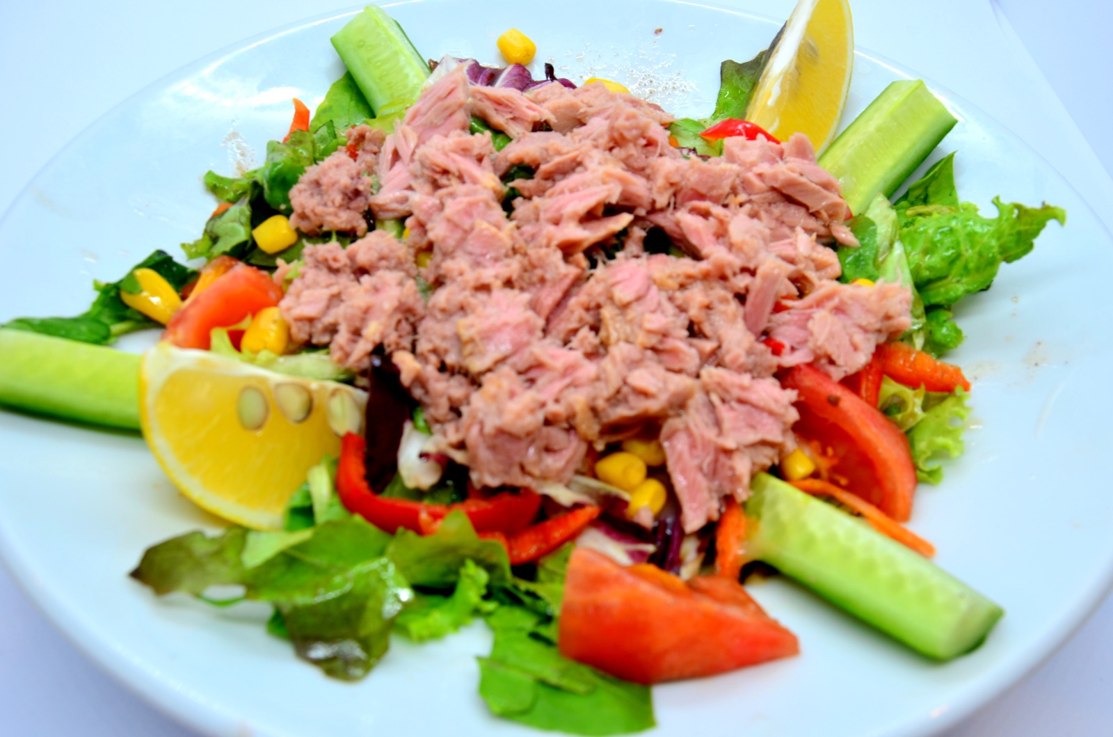 Ton Balıklı Salata